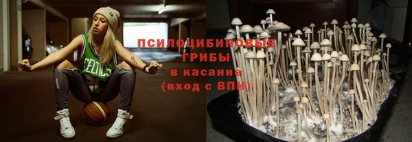 хмурый Абинск