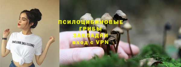 дмт Абаза