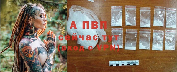 a pvp Алзамай