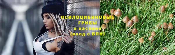 a pvp Алзамай
