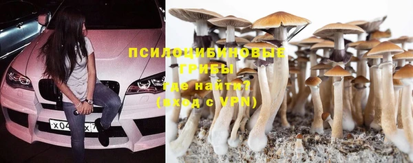 хмурый Абинск