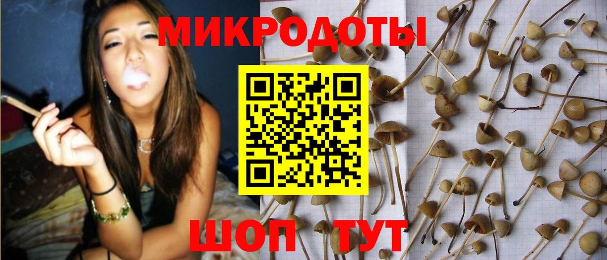 Псилоцибиновые грибы прущие грибы Прохладный