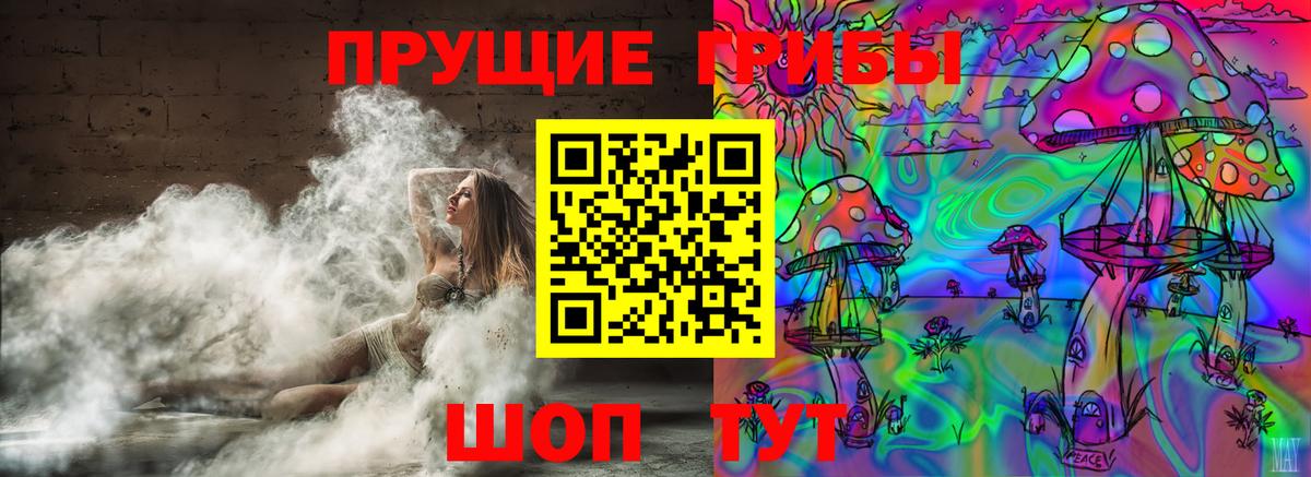 Прохладный  Псилоцибиновые грибы Psilocybe  где можно купить   Вход с VPN 
